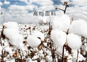 门徒娱乐休闲T恤使用的面料