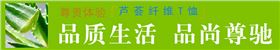 门徒娱乐休闲T恤特点