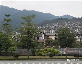 门徒娱乐2019迎新年会圆满落幕