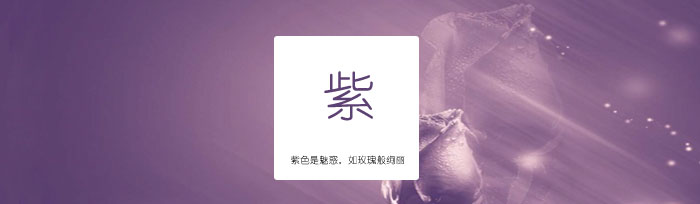 订做紫色运动T恤