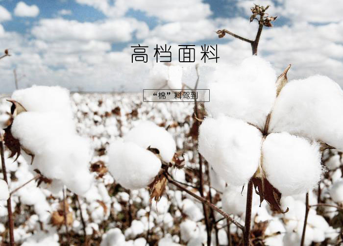 门徒娱乐休闲T恤使用的面料